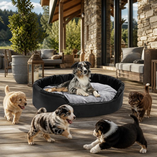 Hundebett vidaXL Schwarz-Grau 90x79x20 cm, ovales Design, Plüschinnenraum und Kunstleder-Außenbezug