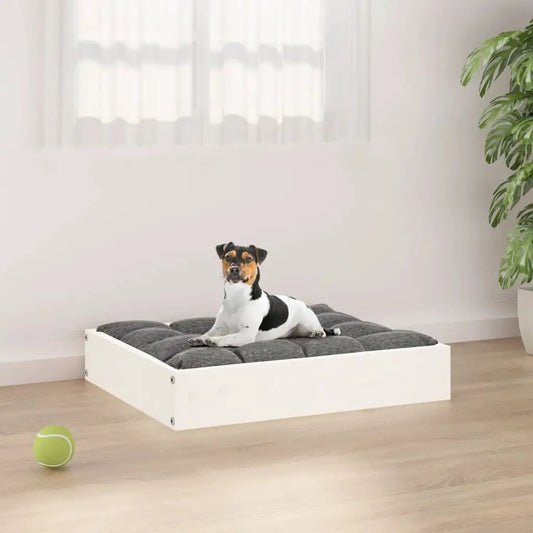 Hundebett Weiß 51,5x44x9 cm aus Massivholz Kiefer, grau gepolsterte Liegefläche, vidaXL
