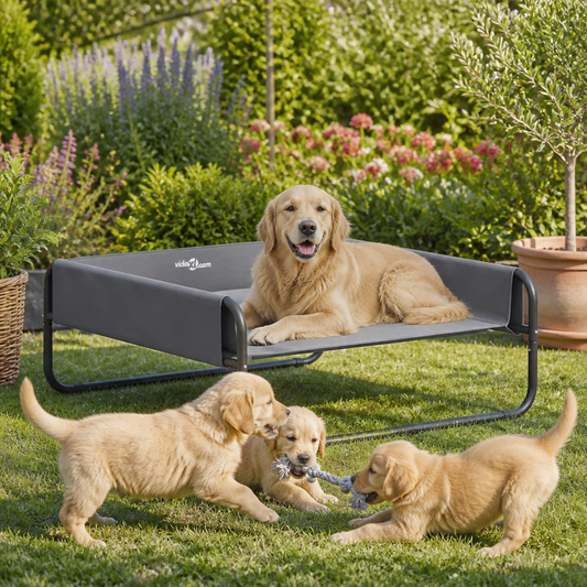 Hundebett Hellgrau 85 x 85 x 33 cm aus Stahlrahmen von vidaXL