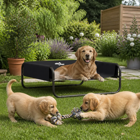 Hundebett Schwarz 75 x 75 x 30 cm aus Stahl von vidaXL