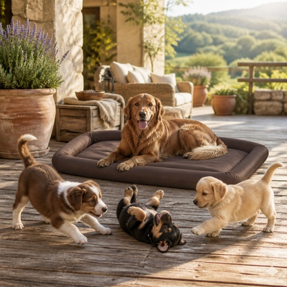 Hundebett Größe M Braun von vidaXL; rechteckiges Hundebett mit gepolstertem Rand